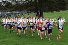 Mens Under-17s relay, 2025 Northern Cross Country Relays, Graves Park, Sheffield. Photo: David T. Hewitson/Sports for All Pics